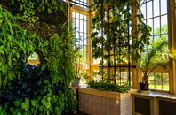 Gosland Green orangery installation